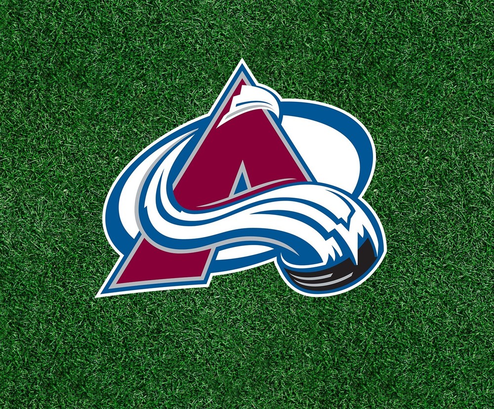 Avalanche vinyl sticker decal - Several Sizes Available