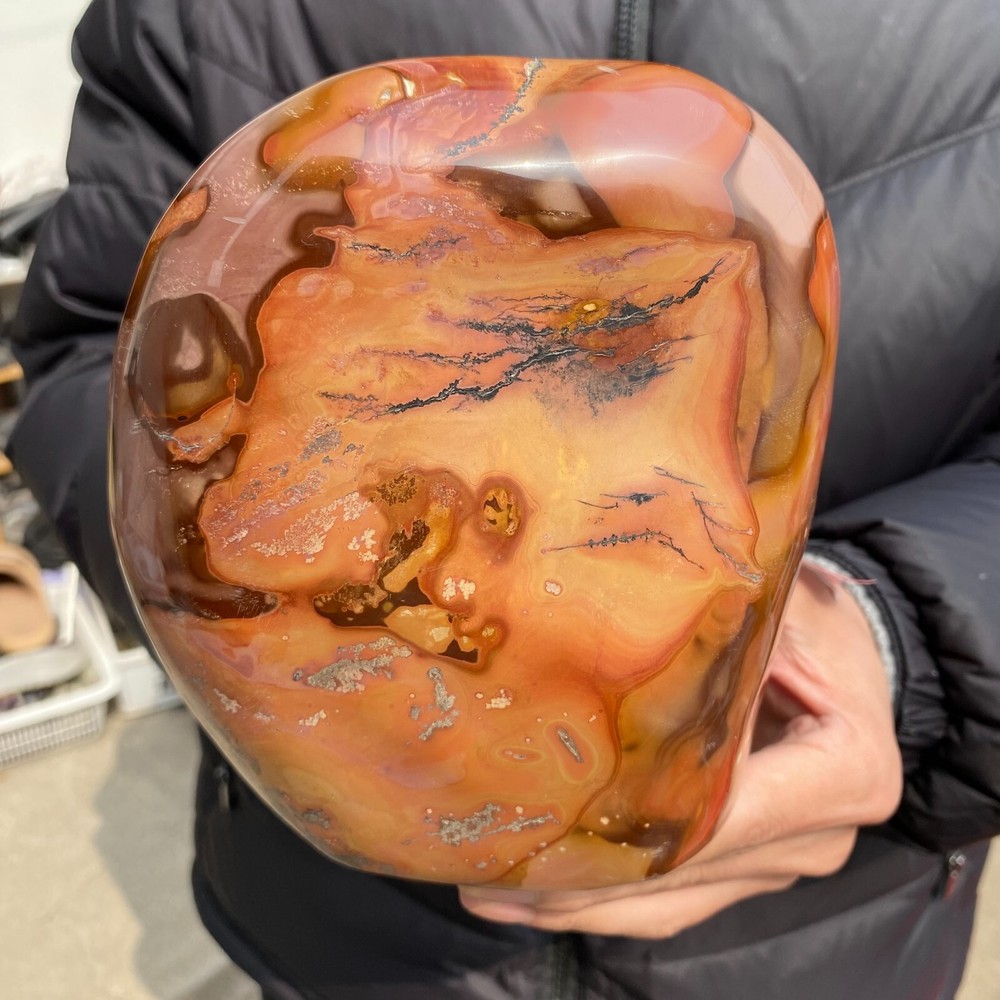 6.2lb Natural Polychrome Ocean Jasper Stone Mineral Display Specimen
