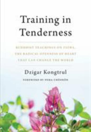 Training in Tenderness: Buddhist Teachings on Tsewa and Radiant Warmth in Paperback Format