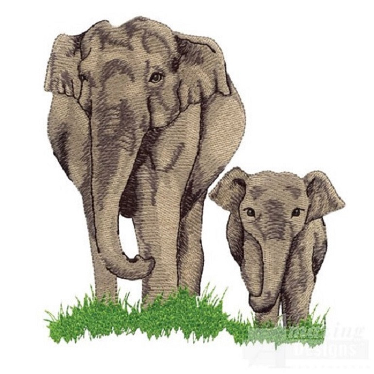 20 Realistic Animal Machine Embroidery Designs on USB