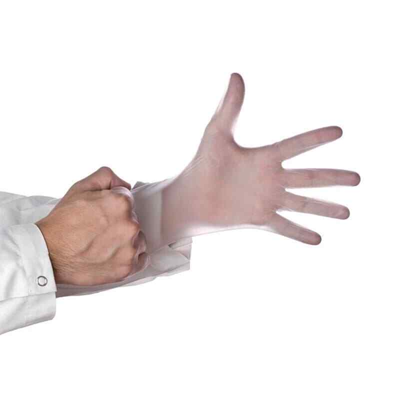 Darling Foodservice XL Powder Free Vinyl Gloves - 1000 / CS