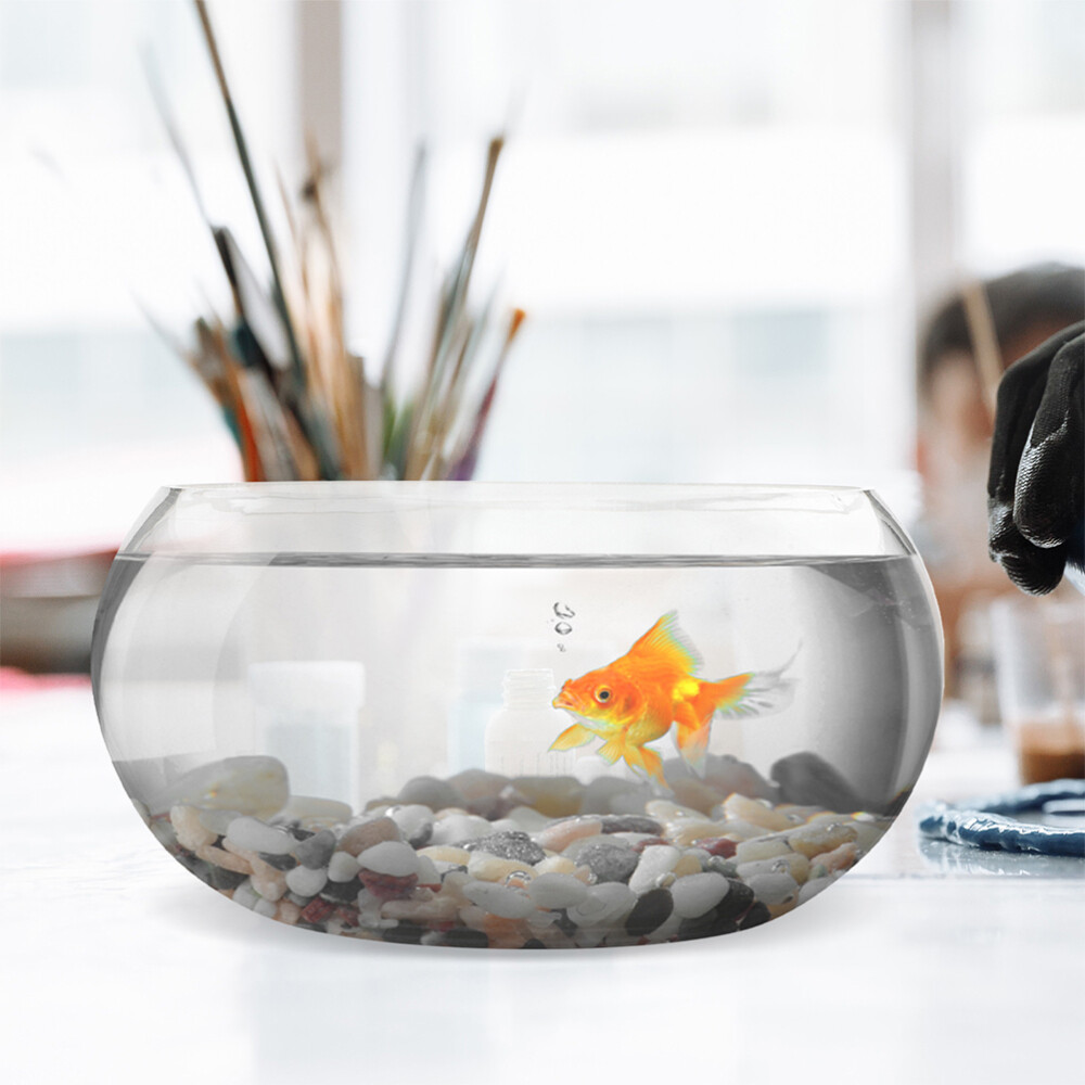 Mini Glass Bowl Terrarium for Plants or Small Fish – Perfect Office Desk Decor  