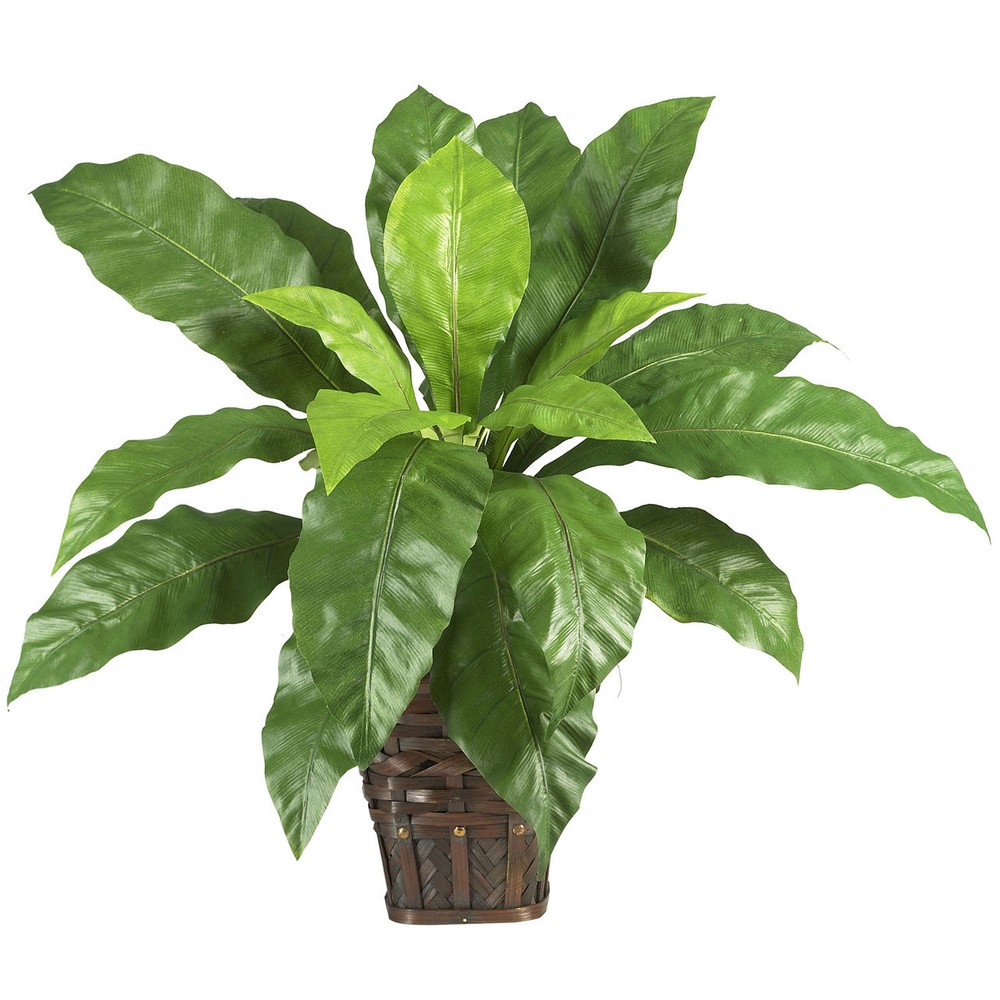 Birdsnest Fern Silk Plant in Wicker Pot - Realistic Faux Greenery  
