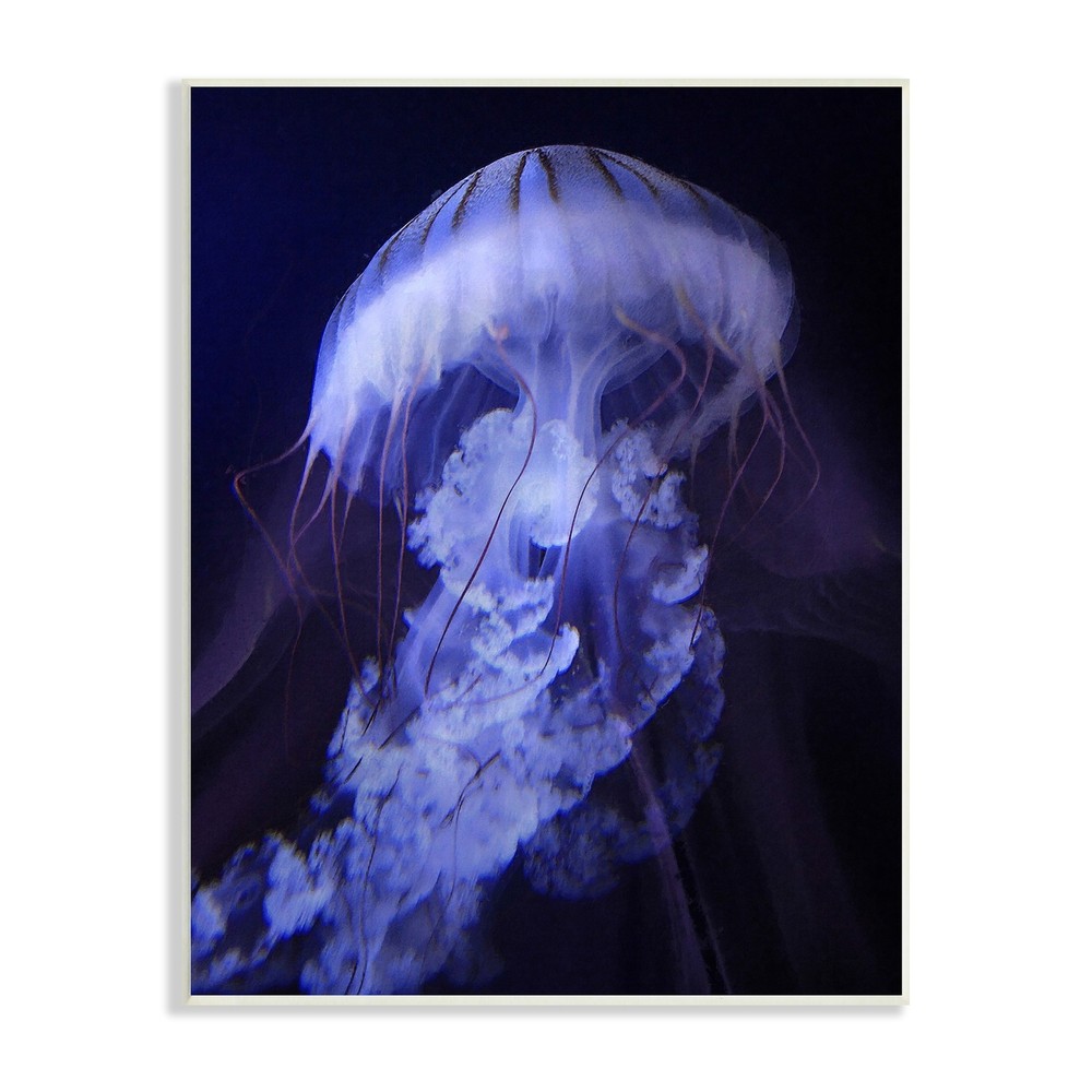 Stupell Magical Purple Detailed Jellyfish Ocean Sea Life Wood Wall Art