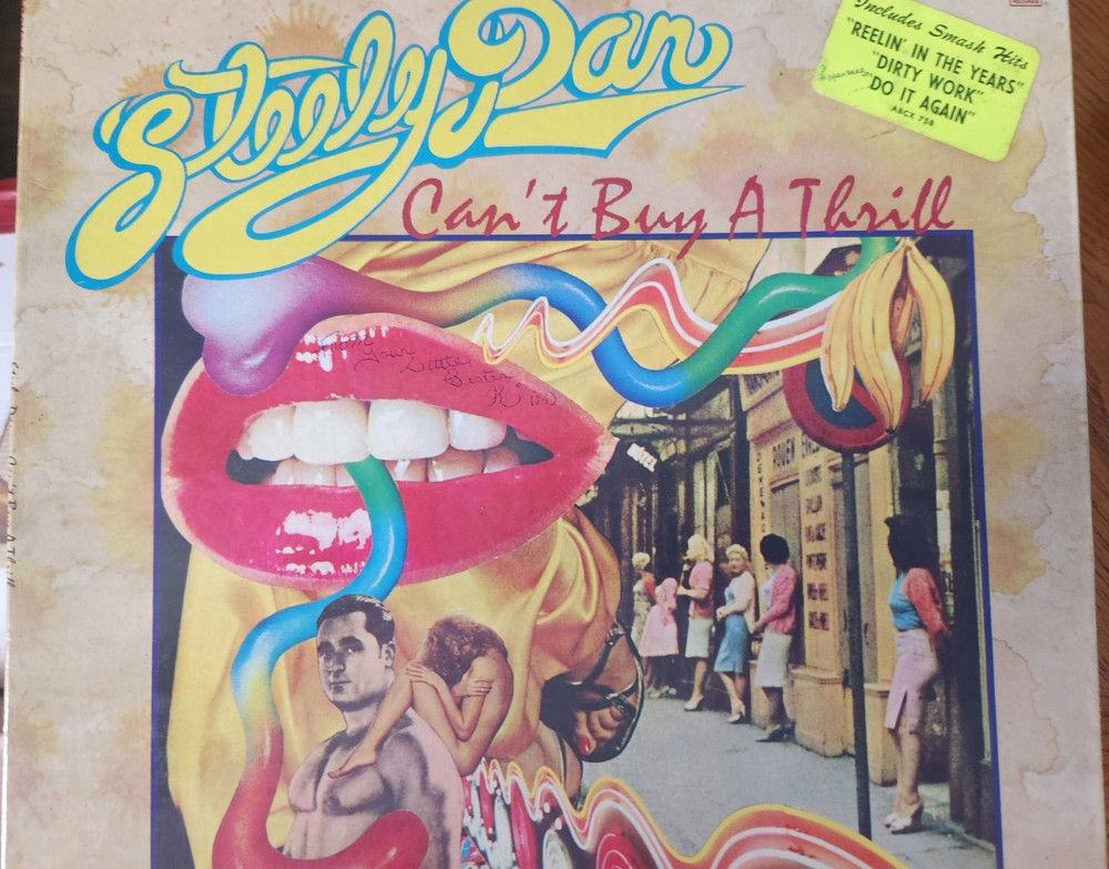Steely Dan Can't Buy A Thrill Vinyl LP Record Cardboard Sleeve Multicolor