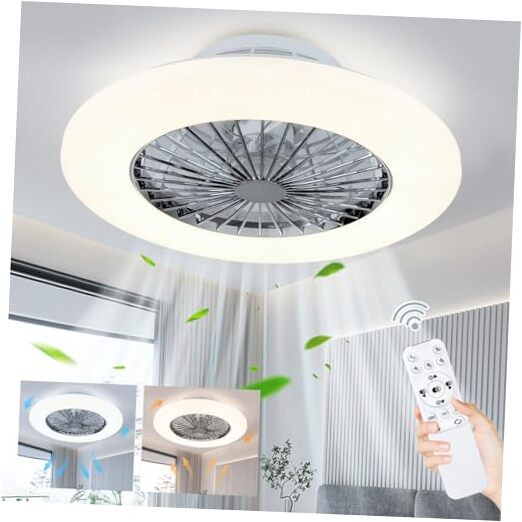 DLLT 20 Inch Modern LED Ceiling Fan with Remote Control