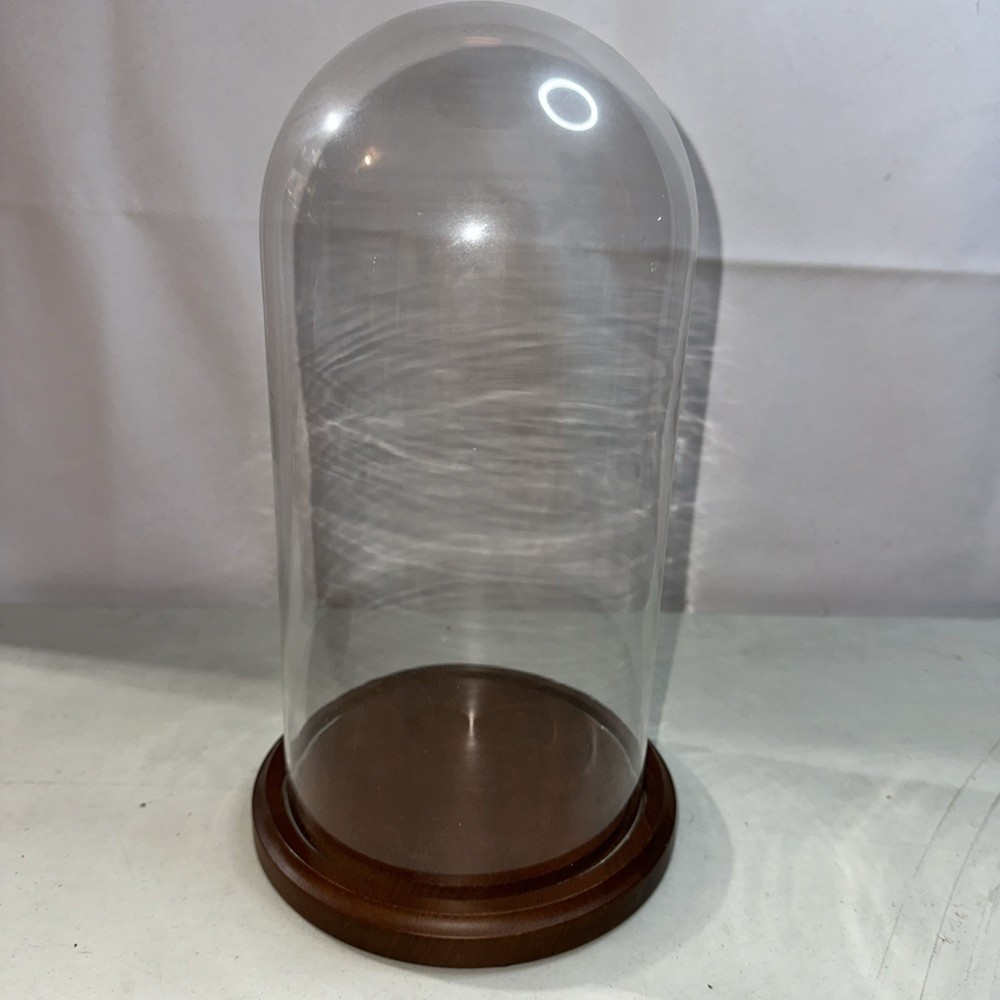 Vintage Bard's Genuine Wood Base Glass Dome Cloche Display Cover 10”x5”