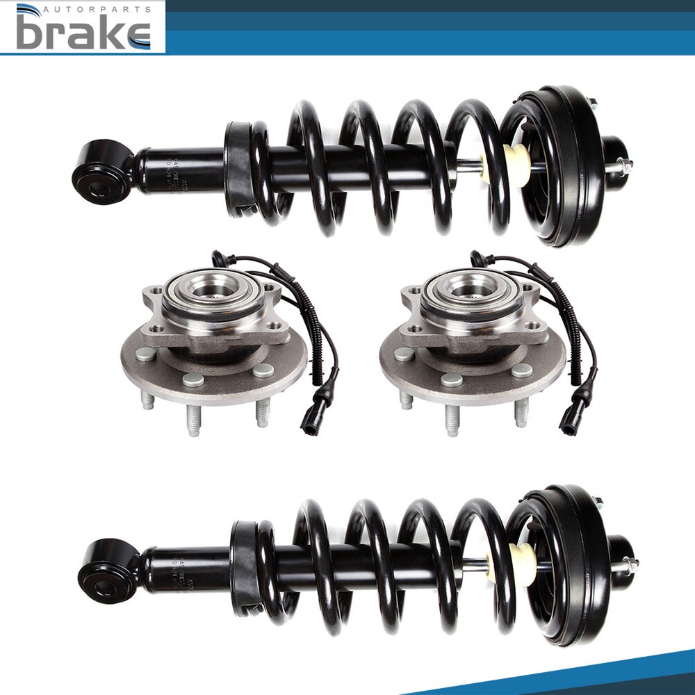Complete Rear Strut & Wheel Hub Bearing Pair for Ford Lincoln