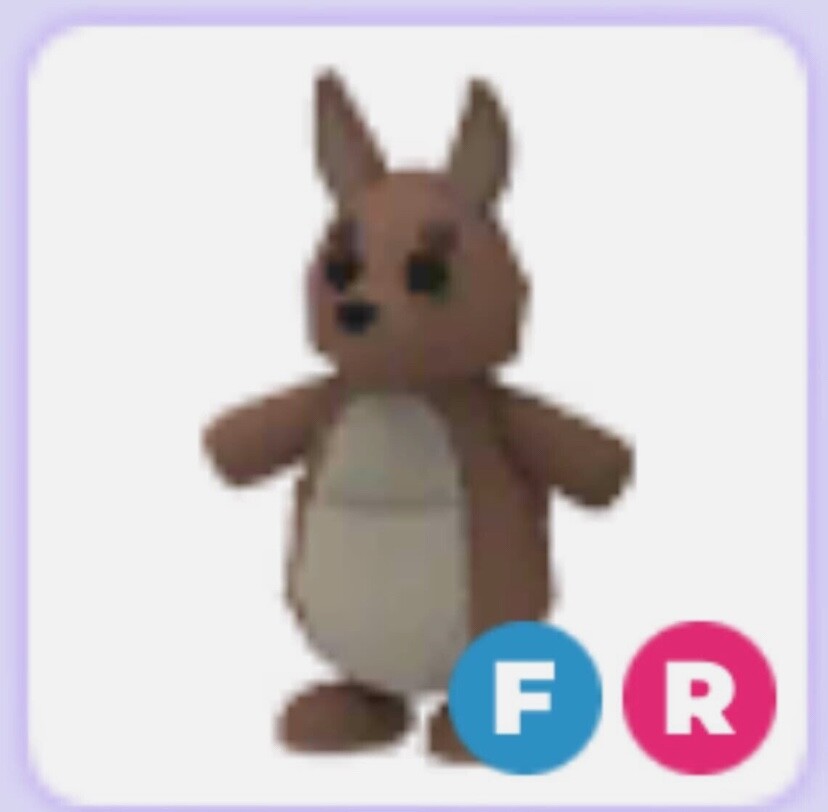 FR KANGAROO - Adopt a Kangaroo Fast Delivery from ME