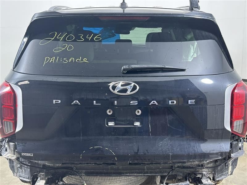 Trunk/Hatch/Tailgate Power Liftgate Fits 20-22 PALISADE 2650996