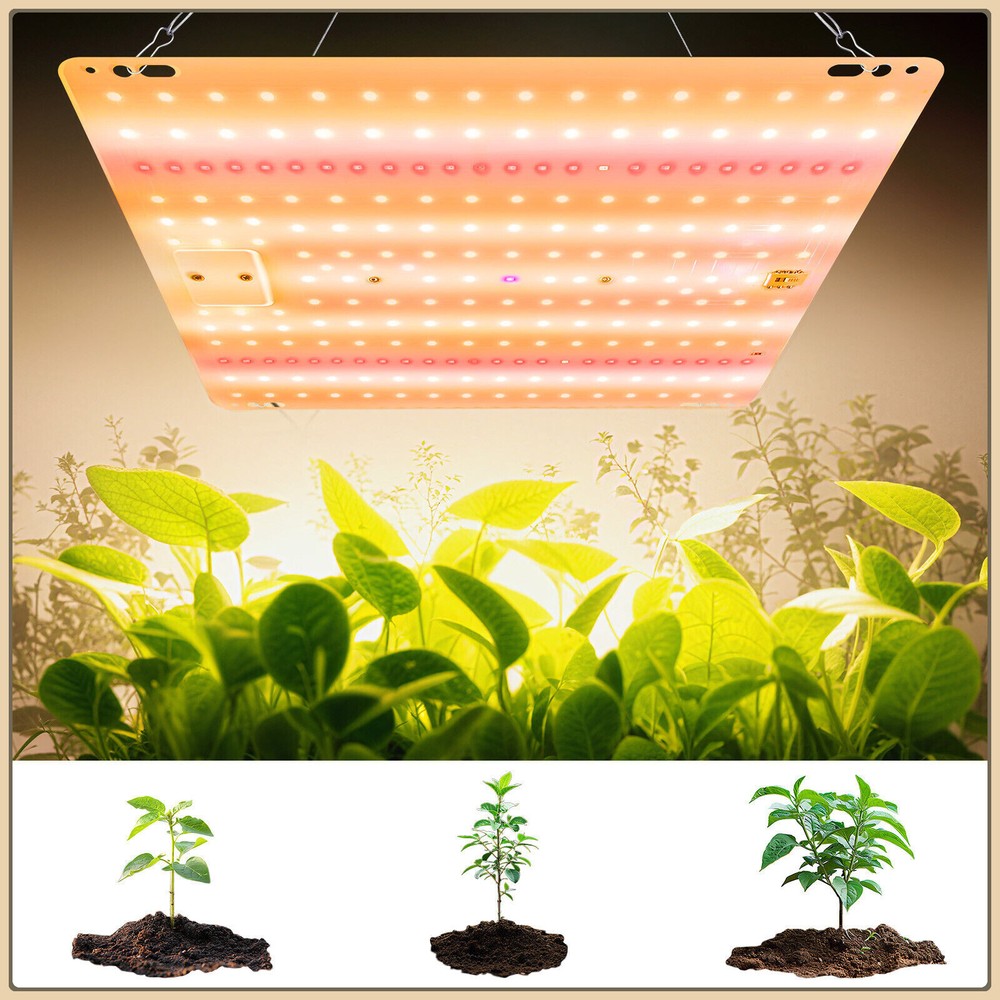 Grow Light RW1000 Full Spectrum LED for Indoor Plant Growth 2x2 ft Coverage Area