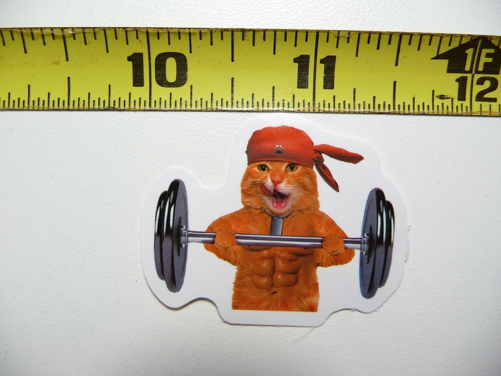 Buff Cat Kitten Bodybuilder Sticker Cute Feline Gym Decal