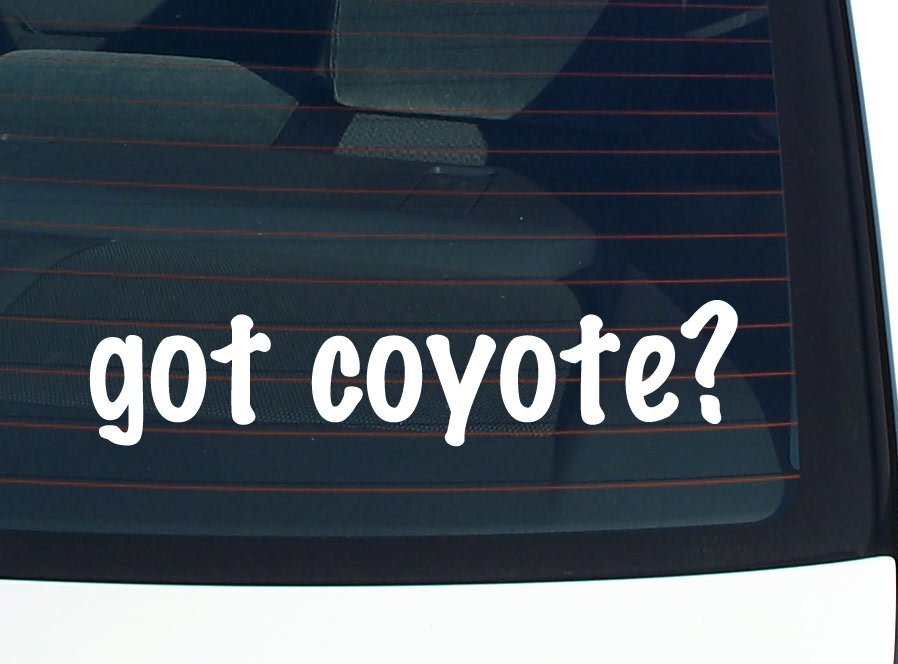 got coyote? CAR DECAL BUMPER STICKER VINYL FUNNY JOKE WINDOW