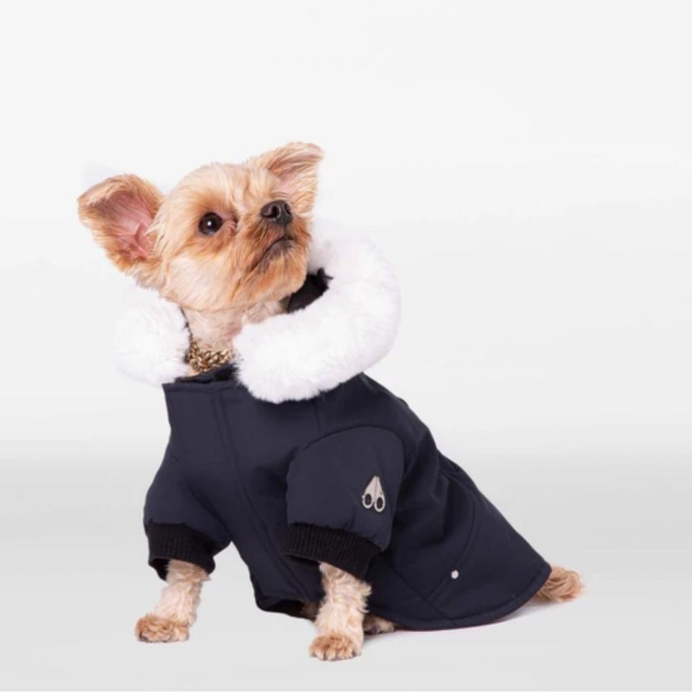 RRP US$350 Moose Knuckles Pooch Knuckle Pooch Parka navy white NWT XS/S