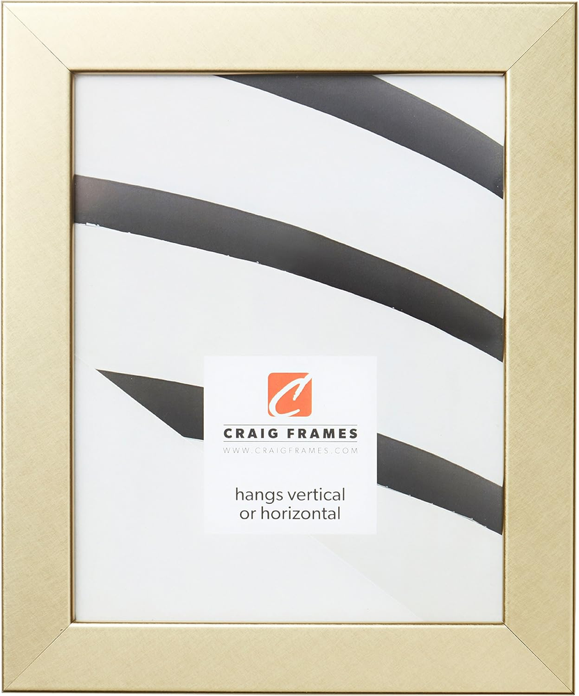 Bauhaus 125 Brushed Gold Picture Frame 24 x 36 Inch Display