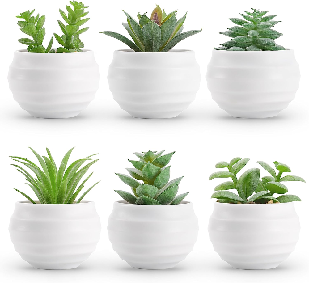 6 Small Artificial Succulent Plants in Pots for Bedroom Decor