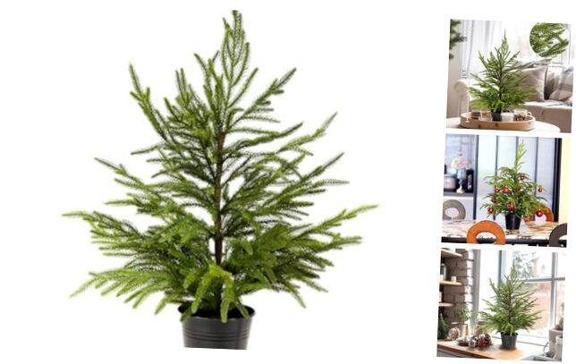 2ft Artificial Norfolk Pine Potted Faux Tree 24 Inch Green Tabletop Decor
