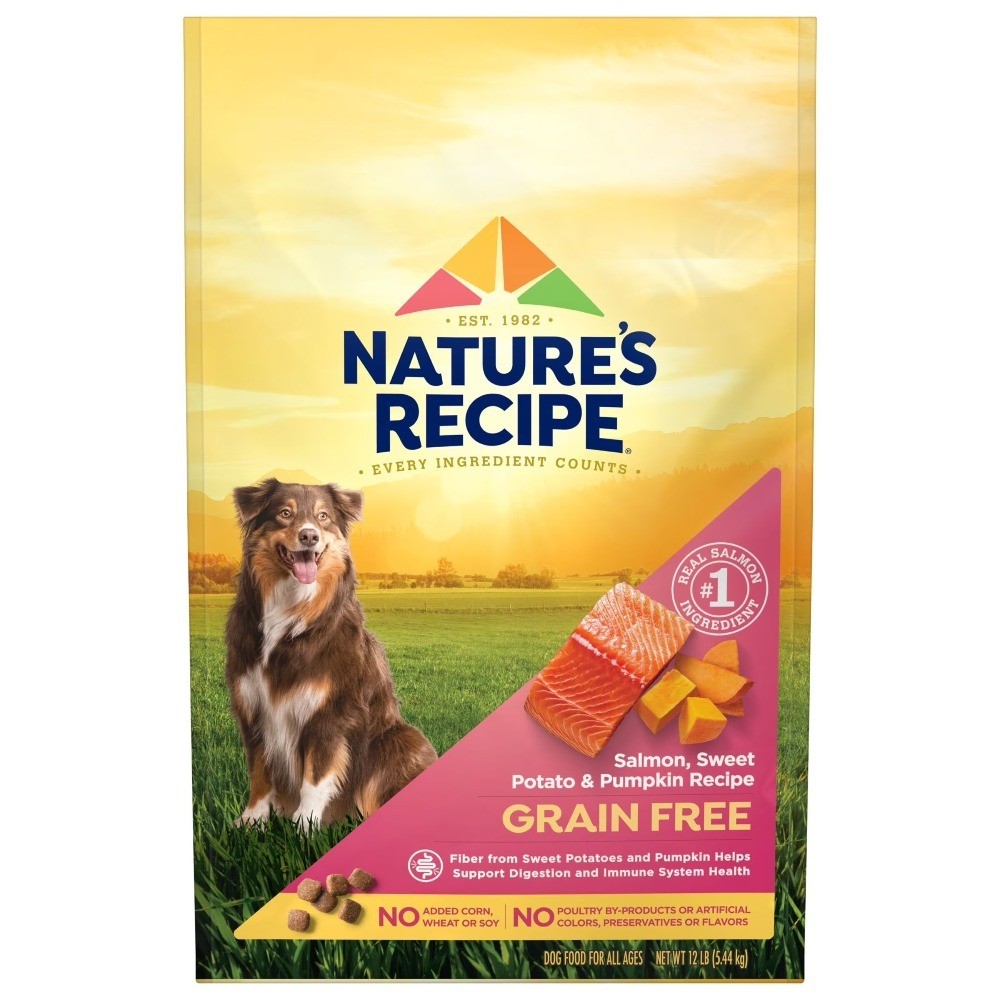 Grain Free Salmon Sweet Potato Pumpkin Recipe Dry Dog Food 12 lb Bag
