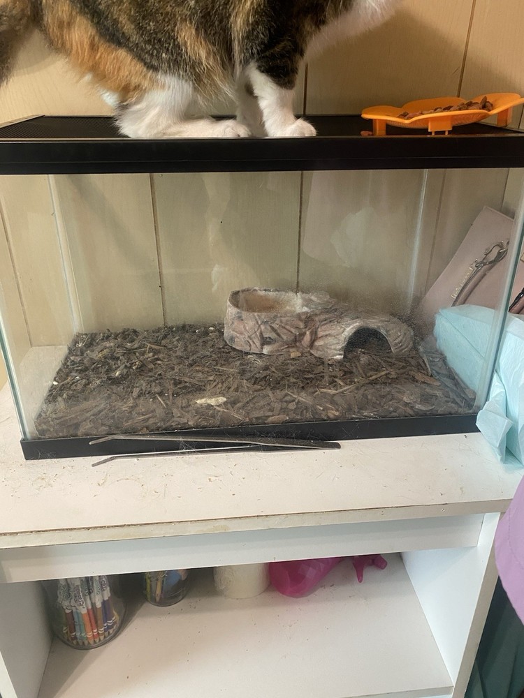 Aquarium Tank for Fish & Reptile Habitat  