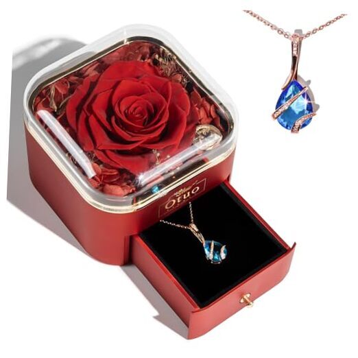 Preserved Roses Gift Jewerlry Box, Real Eternal Rose Flower with Necklace, Red