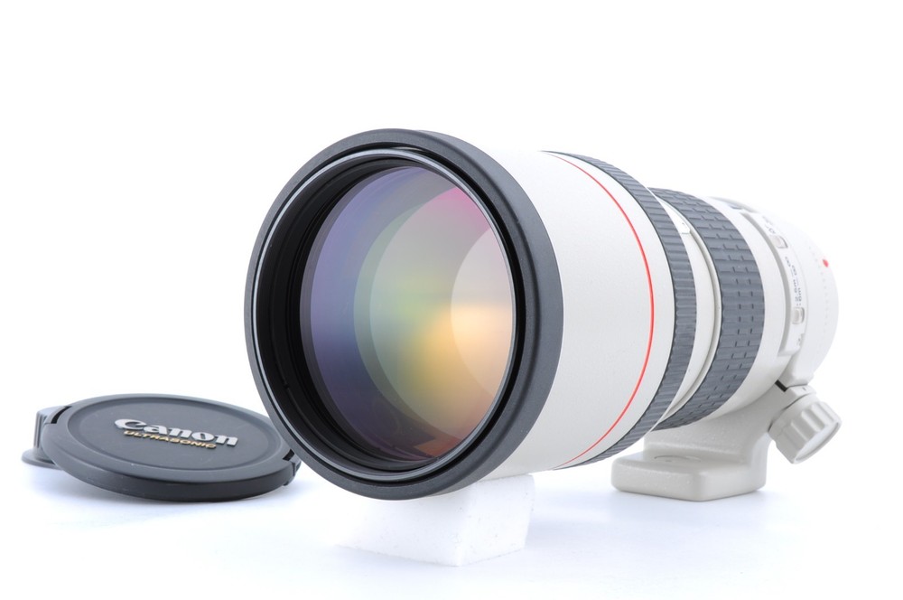 Canon EF 300mm f/4 L IS USM Lens