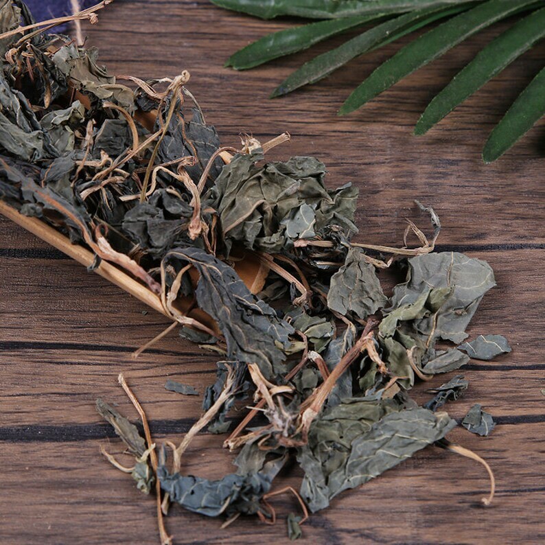 Organic Herbal Folium Isatidis Da Qing Ye Indigowoad Leaf Great Quality