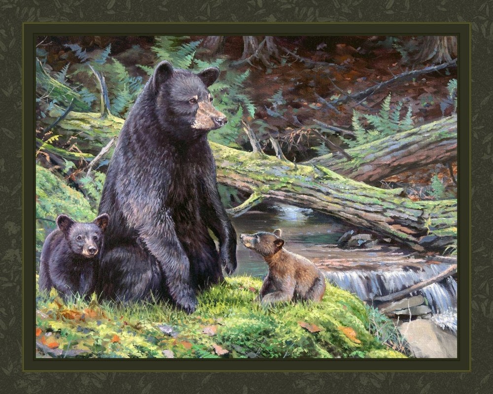 BEAR NECESSITIES Bear Mom & Cubs Quilt Panel 36