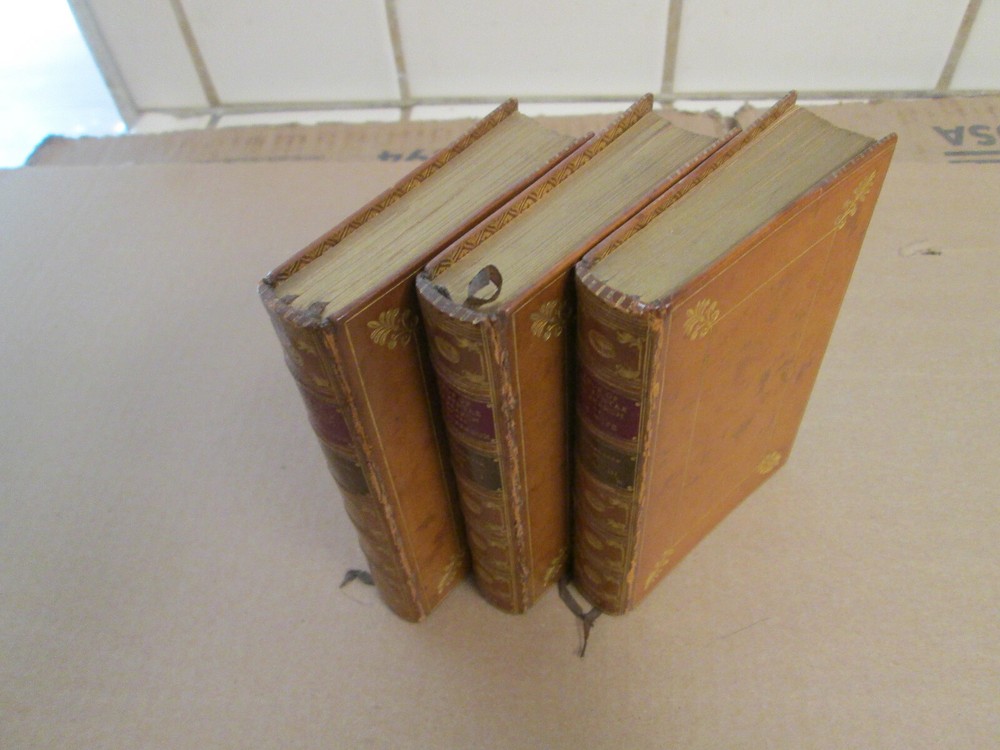 3 Volume Set The Tour of Dr Syntax by Bayntun Leatherbound Fine Binding