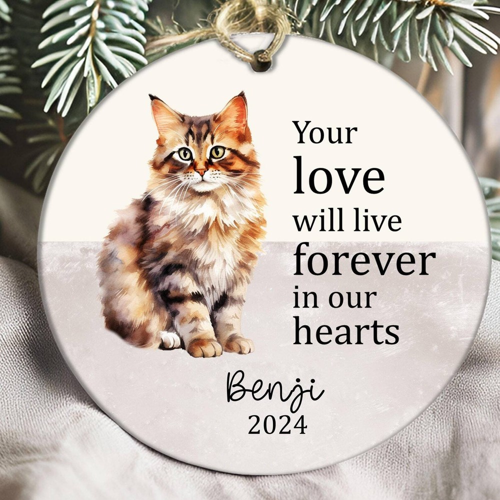 Personalized Pet Memorial Ornament Custom Cat Loss Gift Pet Memory Pet