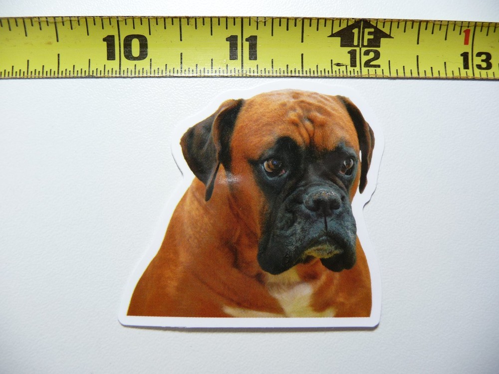 Funny Boxer Dog Disbelief Decal Sticker for Pet Lovers and Furball Play