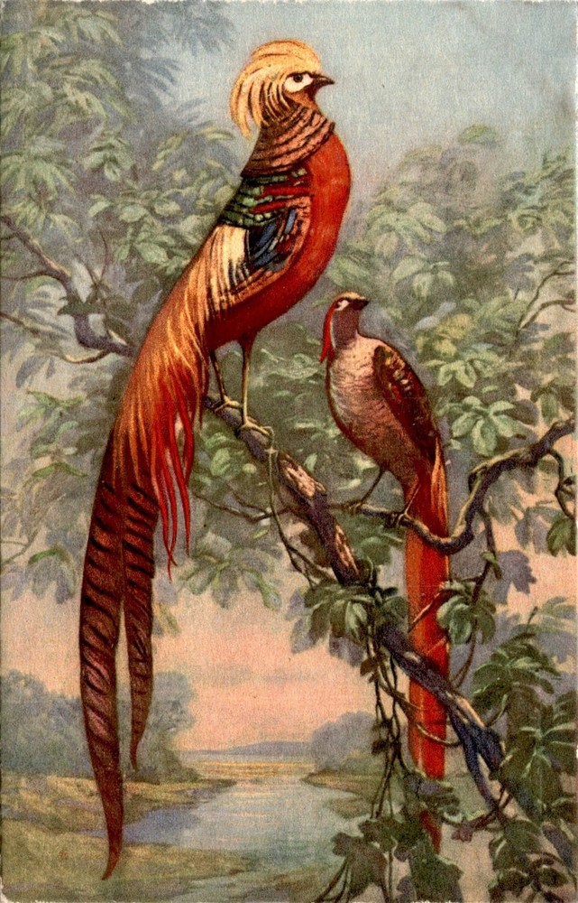 Switzerland, Stehli, STF Postcard