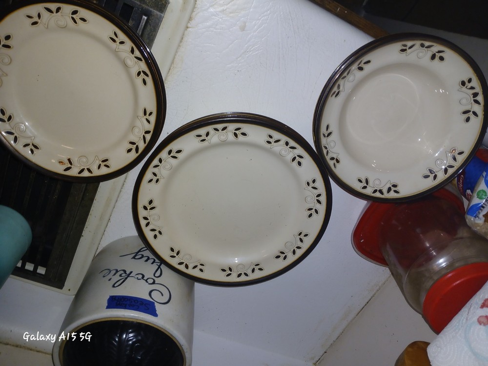 Pfaltzgraff Laurel Stoneware Dinnerware Set