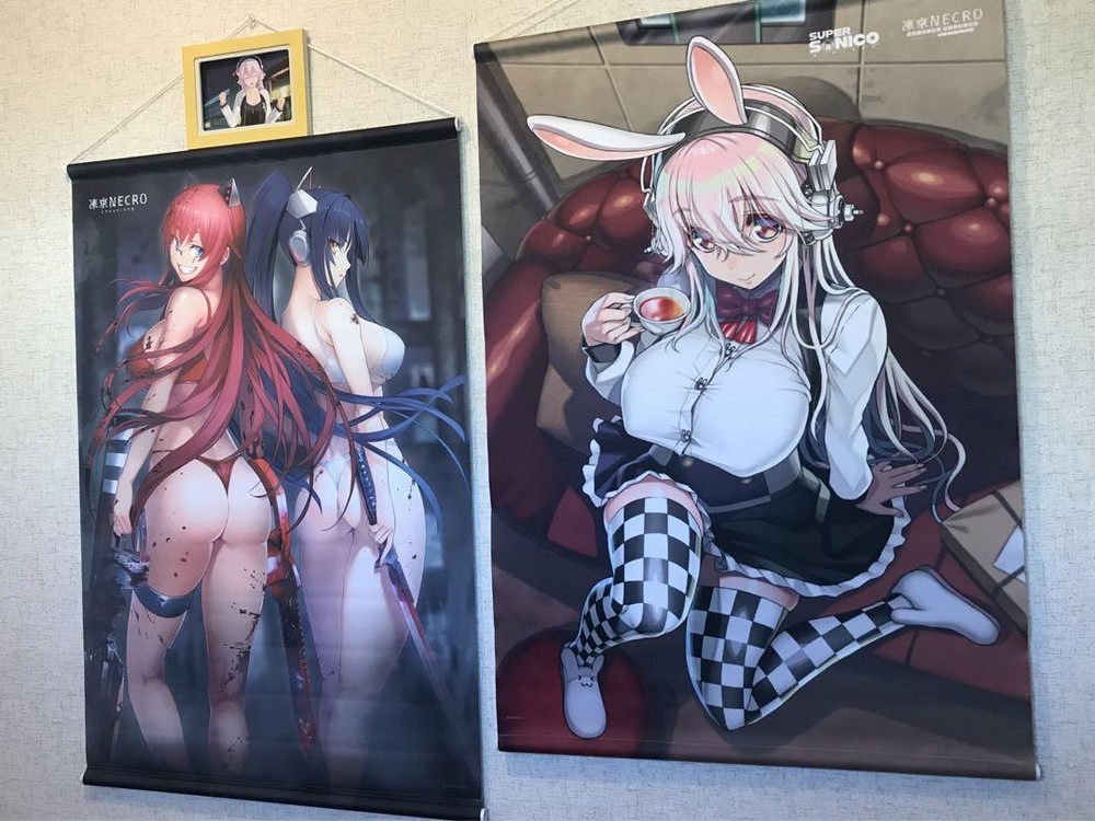 Super Sonico Goods Lot of 3 Tokyo NECRO Kibanohara Gijo Tapestry Postcard nitro