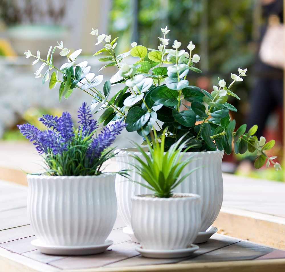 Ceramic Flower Plant Pots with Saucers, Modern Round Ceramic Succulent Plante...