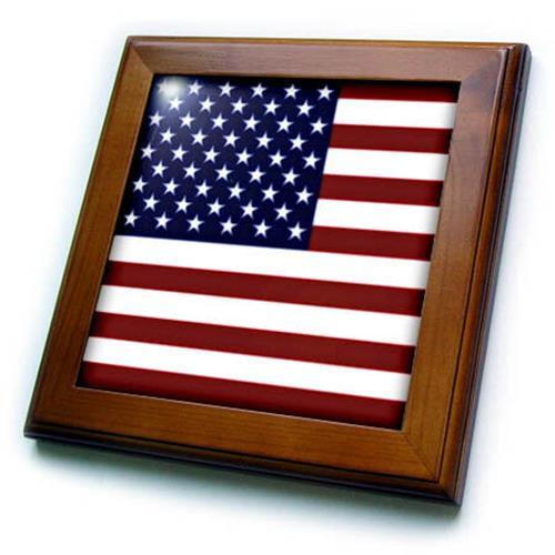 3dRose Unites States American Flag 8x8 Framed Tile