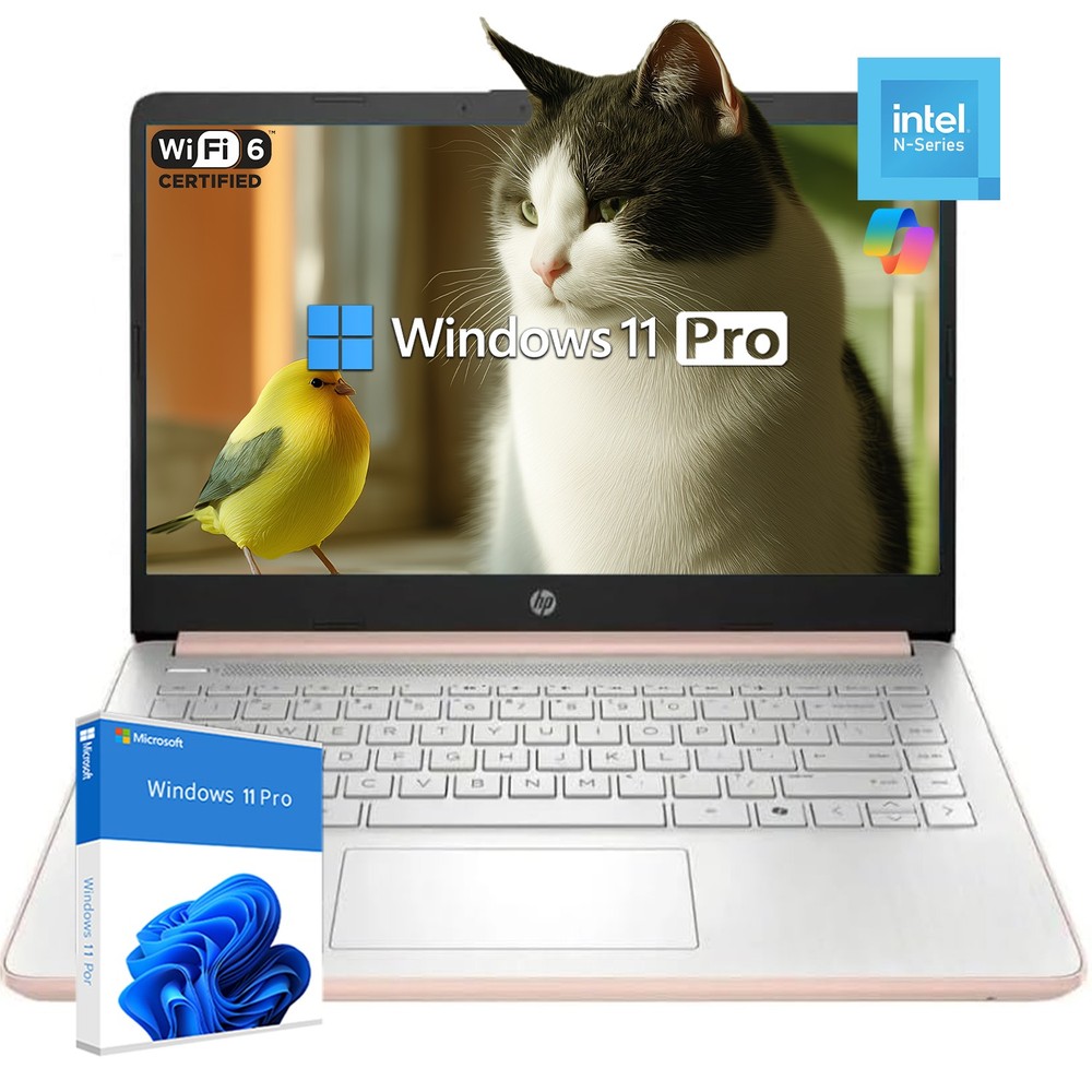 HP Student Laptop 14