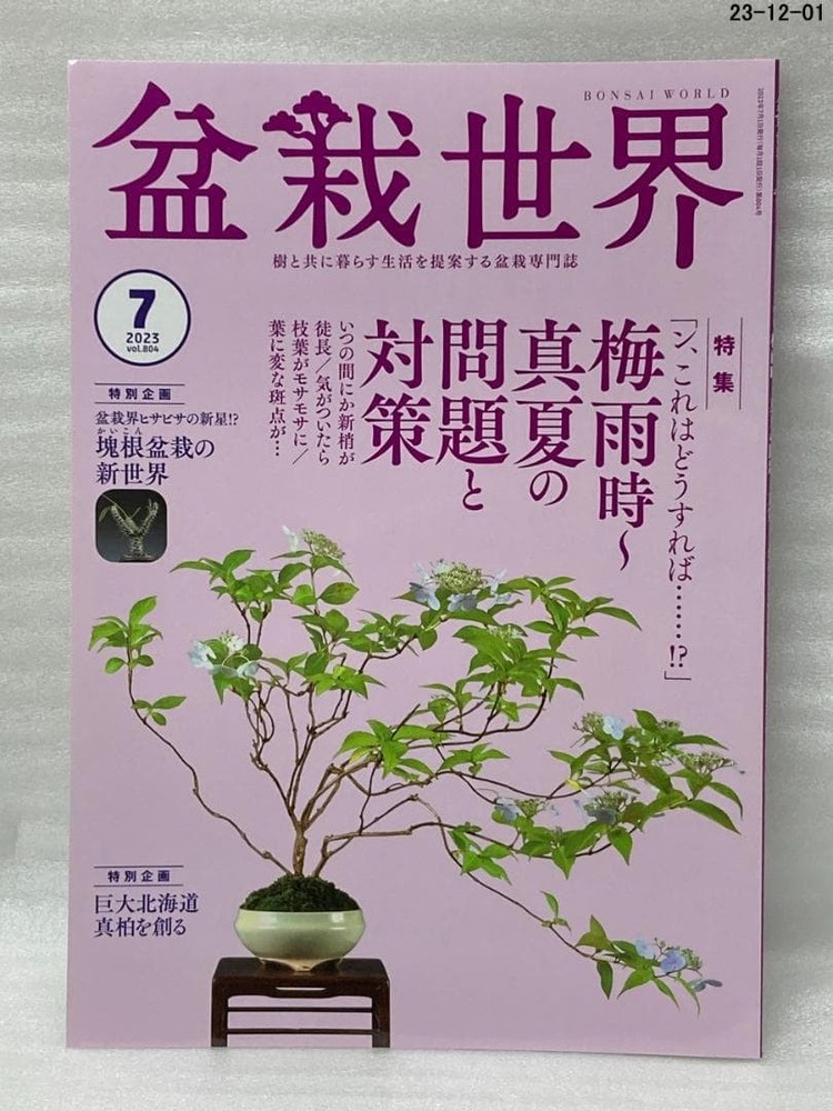 Bonsai World July 2023 Issue Japanese Magazine Bonsai Art Collectors