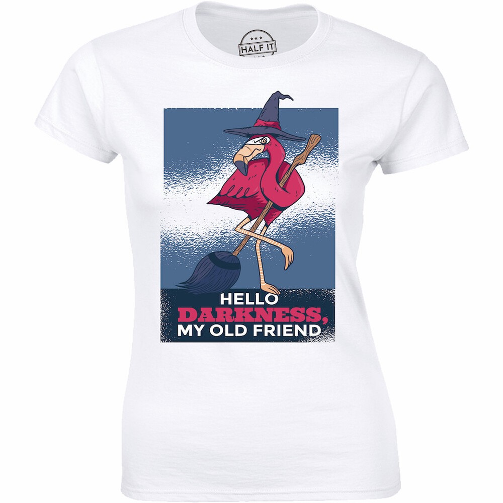 Hello Darkness My Old Friend Cute Flamingo Witch Halloween Women's T-shirt Gift