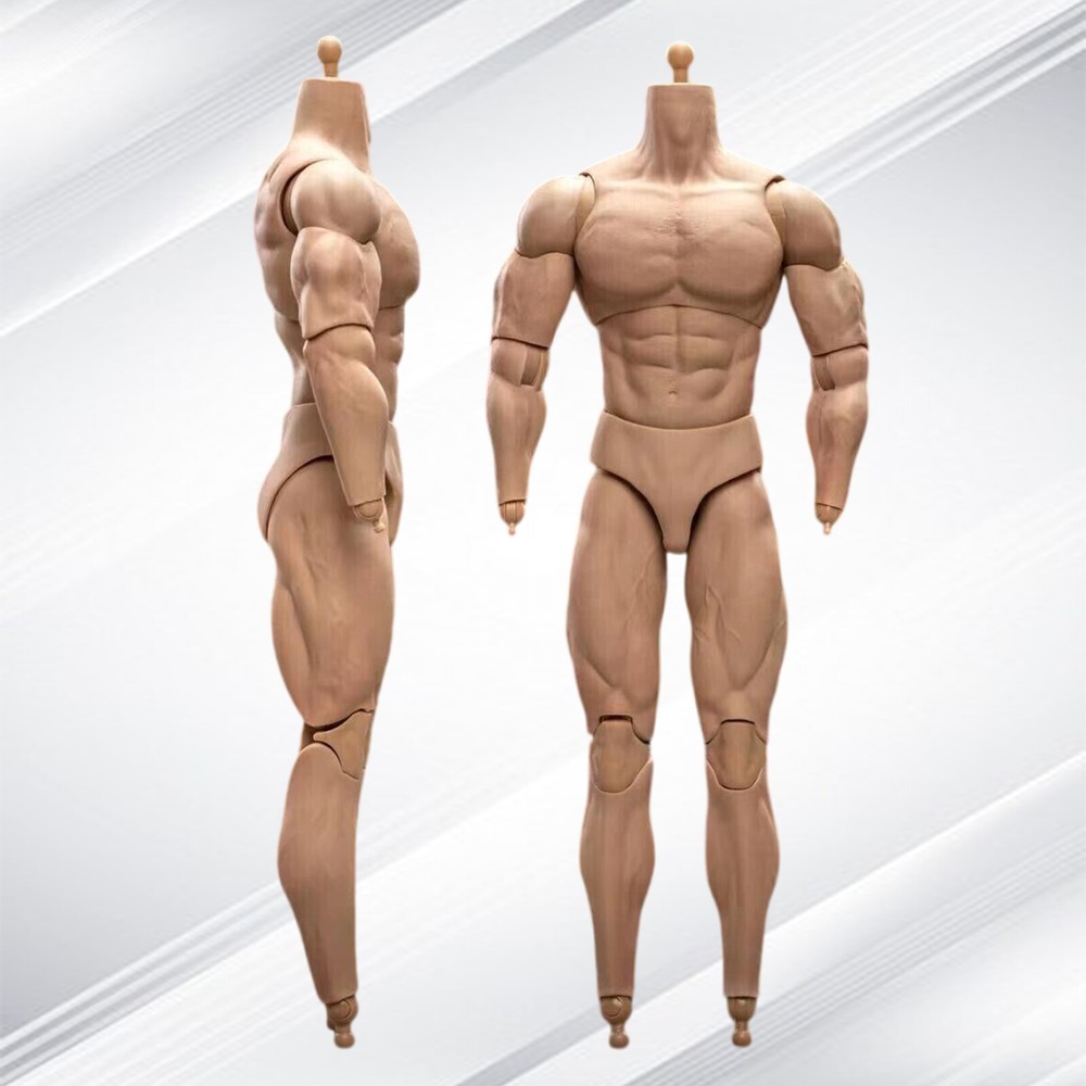 1/6 Scale BD003 Muscular Male Action Figure Body For 12