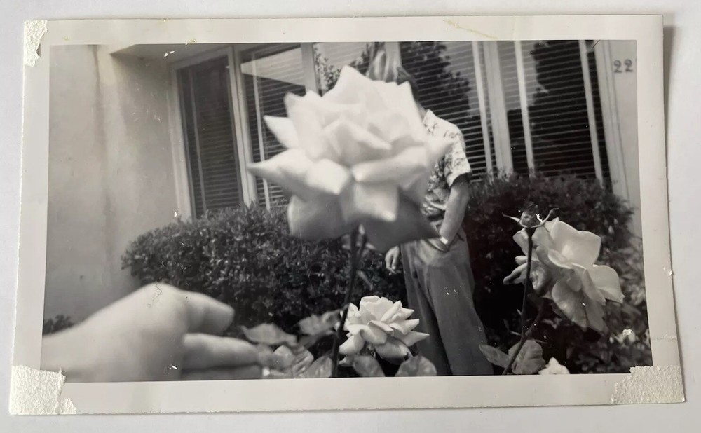 Vintage 1950s Abstract Photo of Smoking Man Behind Rose Flower Gay Interest 3.5x6