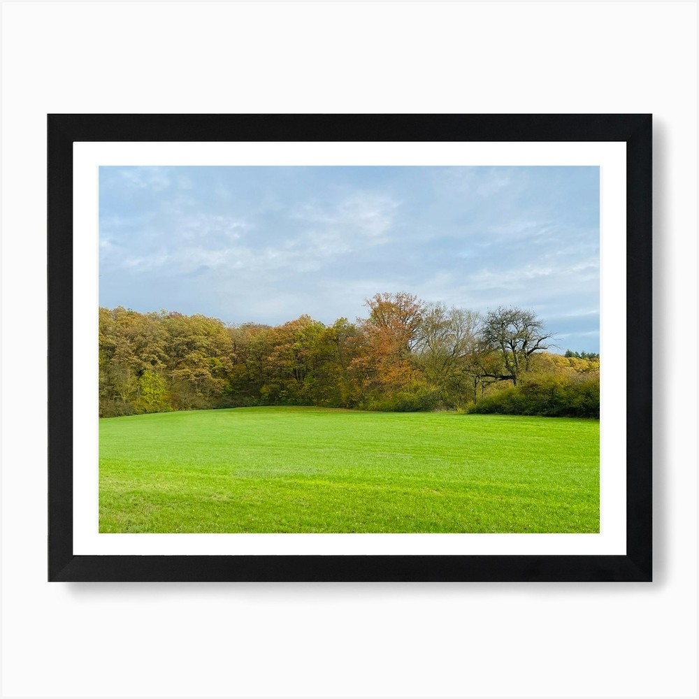 Field With Trees 3 Framed Art Print Canvas Wall Decor Poster  