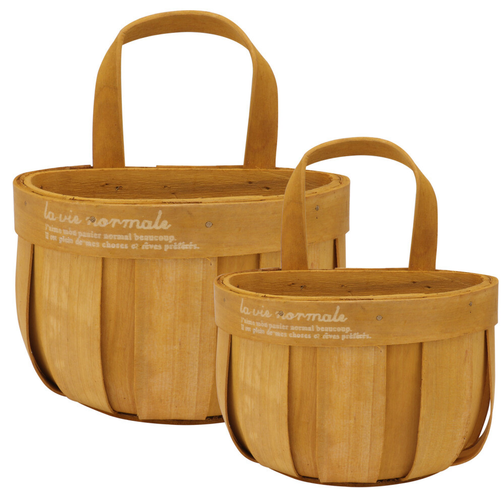 2 Pack Hanging Flower Tin Baskets for Home or Balcony Decor