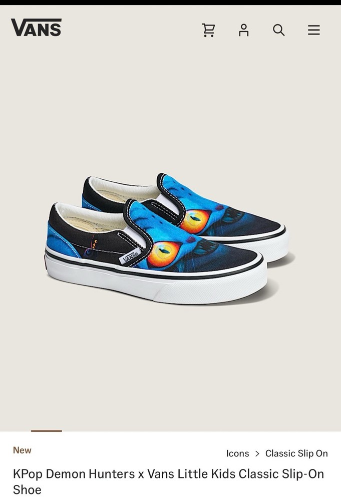 Vans Demond Hunter Toddler Size 11C