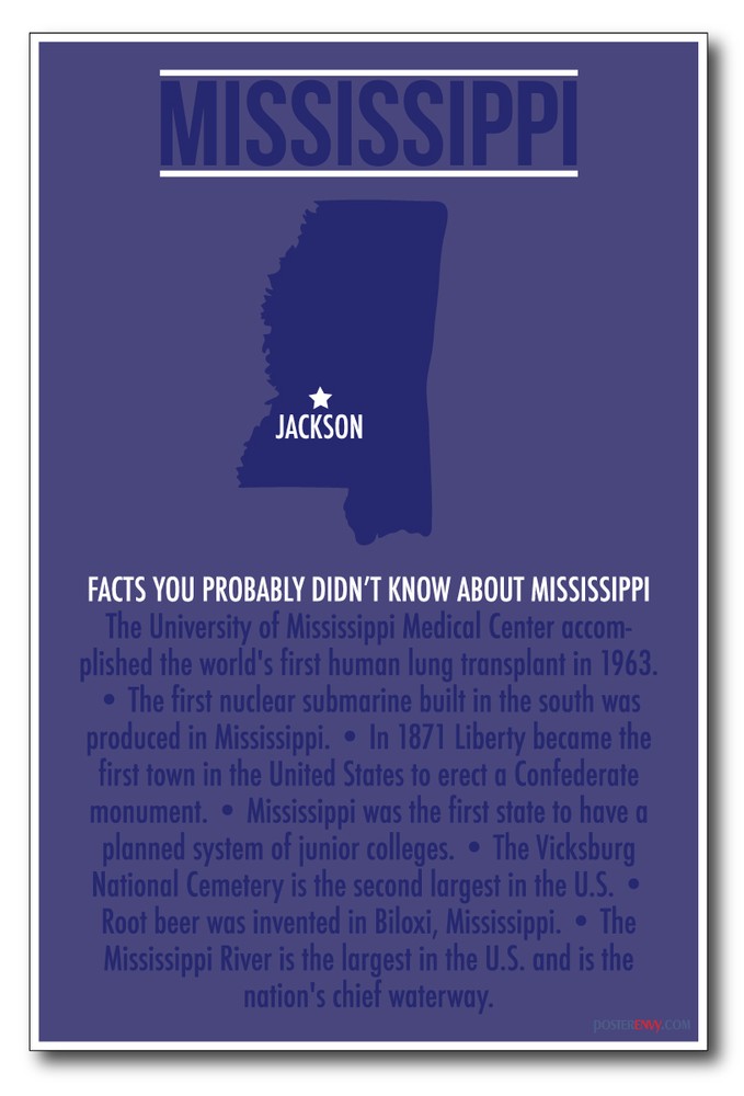 Mississippi - NEW US Travel Poster