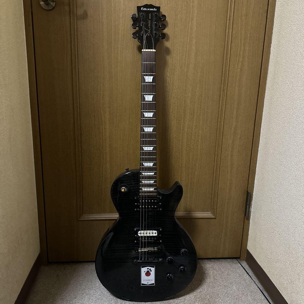 Edwards Limited Model Electric Guitar Secure Shipping Package