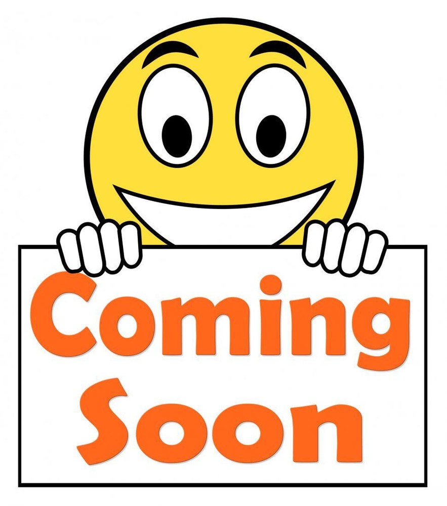 ✅ 95-97 Ford Crown Vic OUTER CORNER QTR MTD Tail Light Lamp Left DRIVER Side OEM