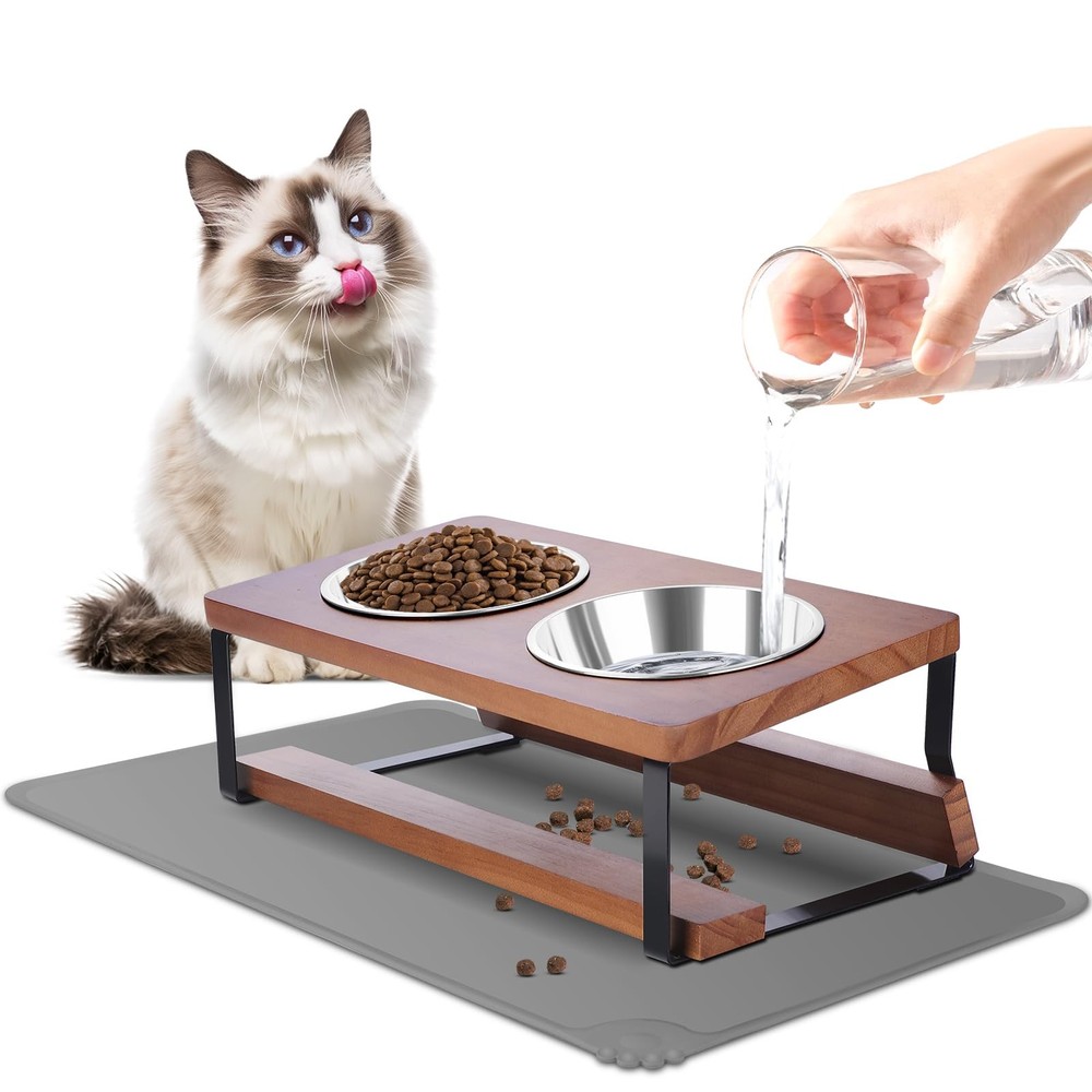 Elevated Stainless Steel Cat Bowls with Food Mat - 2 Dish Set for Food & Water