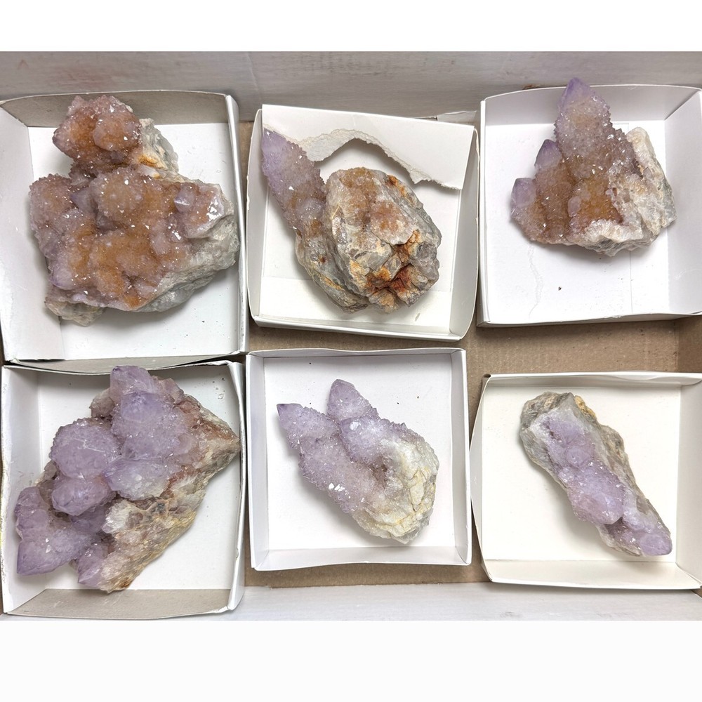 6-Piece Amethyst Spirit Quartz Crystal Set with Cactus Design TRFlat80