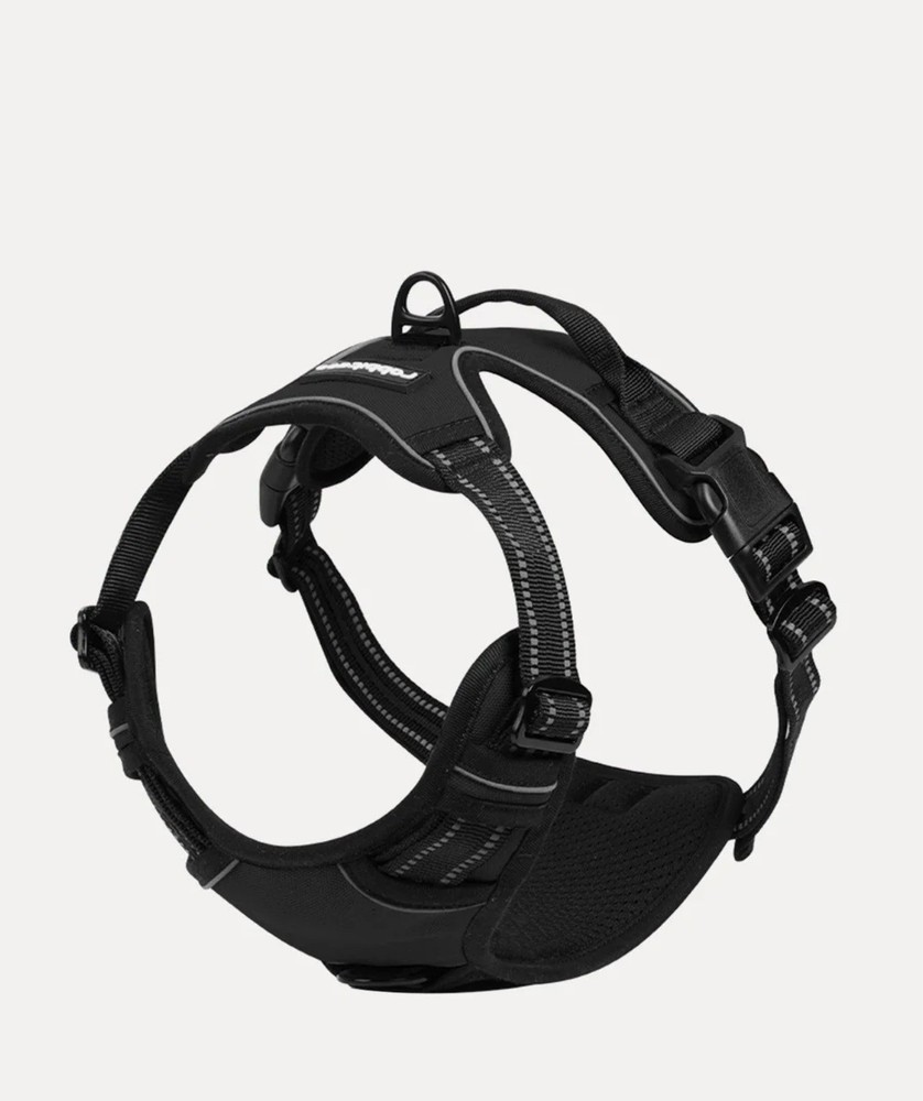 Classic Fit No Pull Dog Harness for Small Dogs No Choke Pet Harness Adjustable S