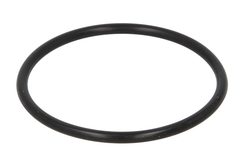 Intake Line Gasket for Mercedes Atego, Econic